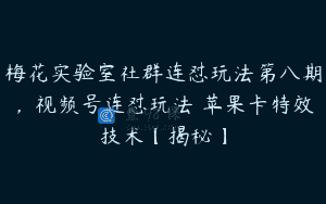 梅花实验室社群连怼玩法第八期，视频号连怼玩法 苹果卡特效技术【揭秘】
