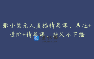 张小慧无人直播精英课，基础+进阶+精英课，持久不下播