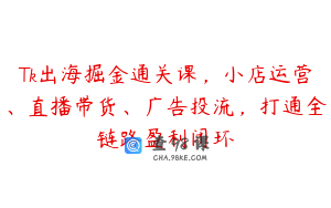 Tk出海掘金通关课，小店运营、直播带货、广告投流，打通全链路盈利闭环