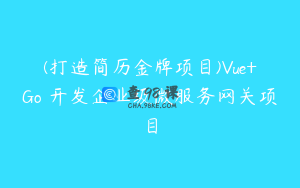 (打造简历金牌项目)Vue+Go 开发企业级微服务网关项目