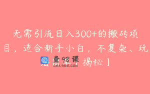 无需引流日入300+的搬砖项目，适合新手小白，不复杂、玩法简单【揭秘】