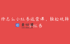 徐志么小红书运营课,轻松玩转小红书