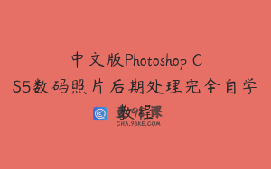 中文版Photoshop CS5数码照片后期处理完全自学教程