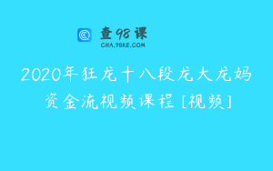 2020年狂龙十八段龙大龙妈资金流视频课程 [视频]