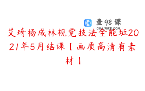 艾琦杨成林视觉技法全能班2021年5月结课【画质高清有素材】