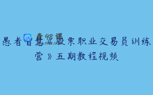 愚者智慧《股票职业交易员训练营》五期教程视频
