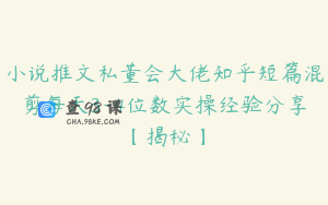 小说推文私董会大佬知乎短篇混剪每天3-4位数实操经验分享【揭秘】