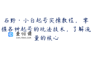 石野·小白起号实操教程,掌握各种起号的玩法技术,了解流量的核心