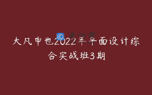 大凡申也2022年平面设计综合实战班3期