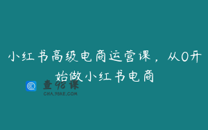小红书高级电商运营课，从0开始做小红书电商