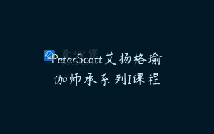 PeterScott艾扬格瑜伽师承系列I课程