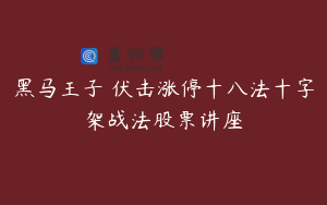 黑马王子 伏击涨停十八法十字架战法股票讲座