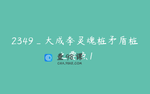 2349_大成拳灵魂桩矛盾桩之要点1