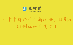 一千个野路子全新玩法，日引50+创业粉【揭秘】
