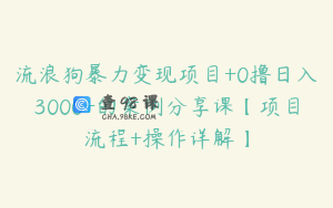 流浪狗暴力变现项目+0撸日入3000+的案例分享课【项目流程+操作详解】