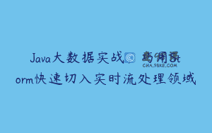 Java大数据实战，巧用Storm快速切入实时流处理领域
