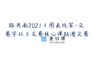路肖南2021《图表玩家-交易学社》交易核心课钻潜交易