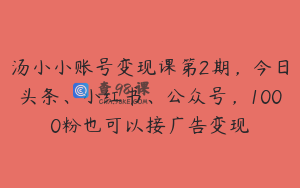 汤小小账号变现课第2期,今日头条、小红书、公众号,1000粉也可以接广告变现