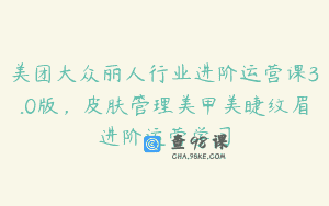 美团大众丽人行业进阶运营课3.0版，皮肤管理美甲美睫纹眉进阶运营学习