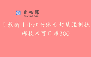 【最新】小红书账号封禁强制换绑技术可日赚300