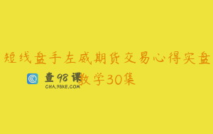 短线盘手左威期货交易心得实盘教学30集