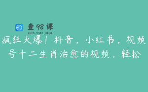 疯狂火爆！抖音，小红书，视频号十二生肖治愈的视频，轻松