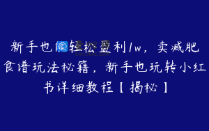 新手也能轻松盈利1w，卖减肥食谱玩法秘籍，新手也玩转小红书详细教程【揭秘】