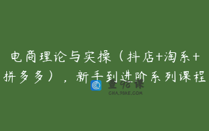 电商理论与实操（抖店+淘系+拼多多），新手到进阶系列课程