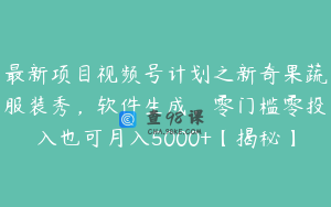 最新项目视频号计划之新奇果蔬服装秀，软件生成，零门槛零投入也可月入5000+【揭秘】
