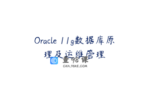 Oracle 11g数据库原理及运维管理