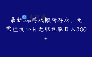 最新csgo游戏搬砖游戏，无需挂机小白无脑也能日入300+