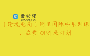 【跨境电商】阿里国际站系列课，运营TOP养成计划