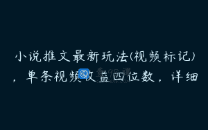 小说推文最新玩法(视频标记)，单条视频收益四位数，详细