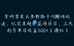 全网首发头条野路子AI搬砖玩法，纪实类超级蓝海项目，三天起号单日收益500+【揭秘】
