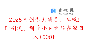 2025网创尽头项目，私域IP+引流，新手小白也能在家日入1000+