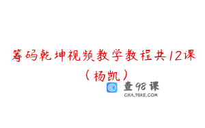 筹码乾坤视频教学教程共12课（杨凯）