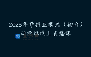 2023年萨提亚模式（初阶）研修班线上直播课