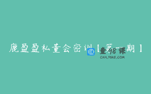 鹿盈盈私董会密训【第一期】