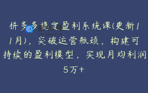 拼多多稳定盈利系统课(更新11月)，突破运营瓶颈，构建可持续的盈利模型，实现月均利润5万+