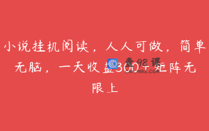 小说挂机阅读，人人可做，简单无脑，一天收益300＋矩阵无限上