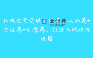 私域运营变现实战课，认知篇+定位篇+实操篇，打造私域赚钱机器
