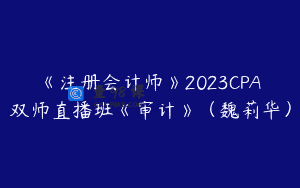 《注册会计师》2023CPA双师直播班《审计》（魏莉华）