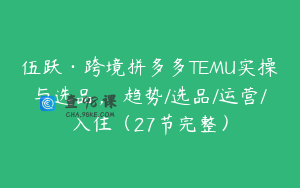伍跃·跨境拼多多TEMU实操与选品，​趋势/选品/运营/入住（27节完整）
