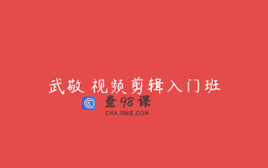 武敬凱视频剪辑入门班