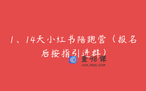 1、14天小红书陪跑营（报名后按指引进群）