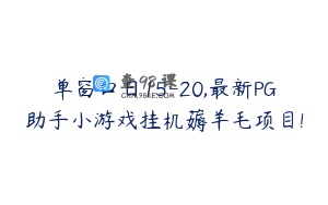 单窗口日15-20,最新PG助手小游戏挂机薅羊毛项目! 