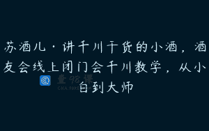 苏酒儿·讲千川干货的小酒，酒友会线上闭门会千川教学，从小白到大师