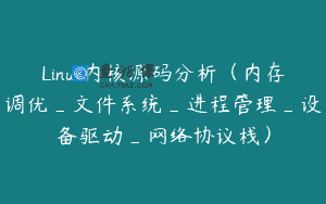 Linux内核源码分析（内存调优_文件系统_进程管理_设备驱动_网络协议栈）