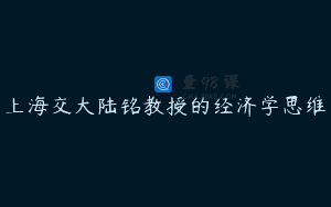 上海交大陆铭教授的经济学思维