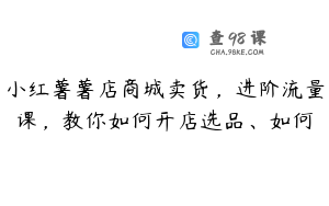 小红薯薯店商城卖货,进阶流量课,教你如何开店选品、如何